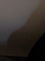 chat4253286