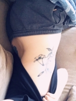 chat1681241