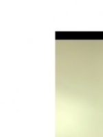 chat1996895