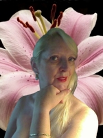 English Lily