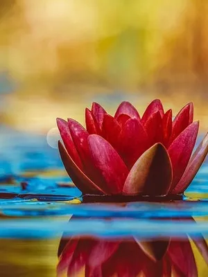 Just a testing profile