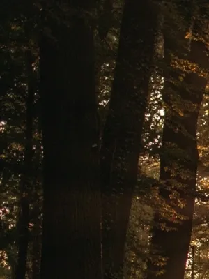 Test Account for TTM Support